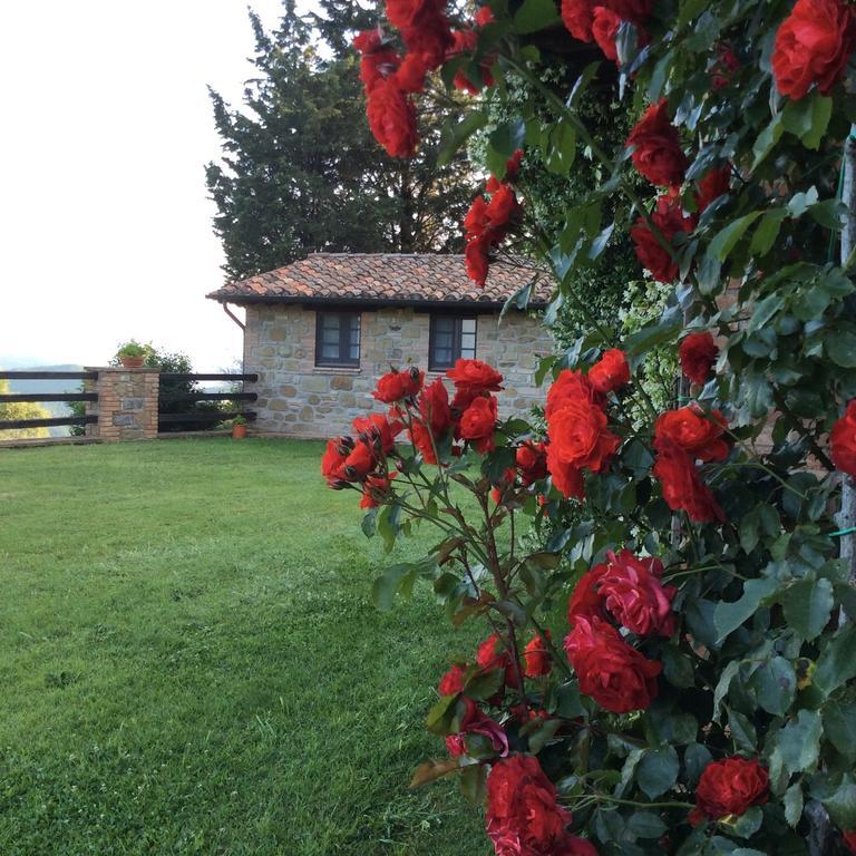 Agriturismo La Bicocca - Apt. "Il Leccio" Кастель-Ригоне Номер фото